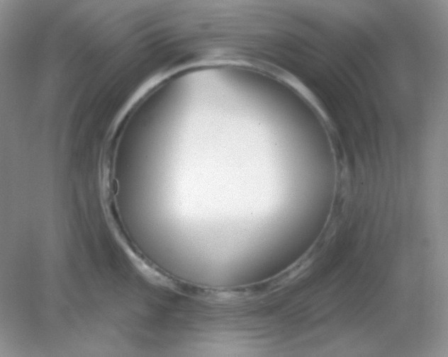 X0000082161101200702021654