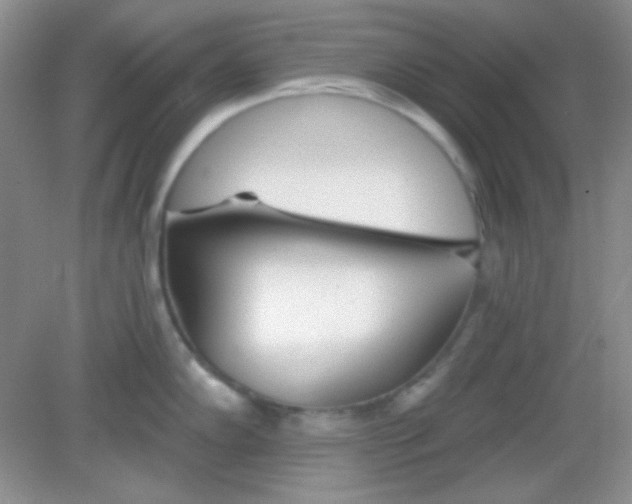 X0000082161102200702021654