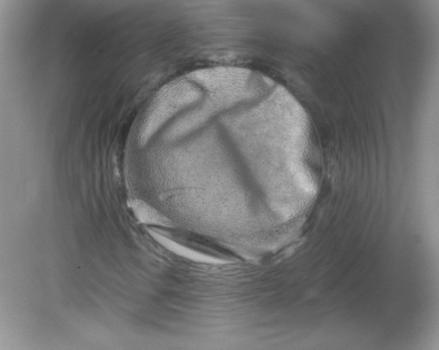 X0000082161106200702021653