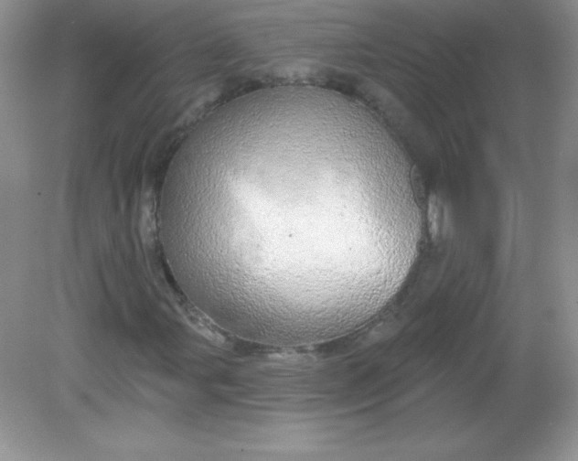 X0000082161107200702021653