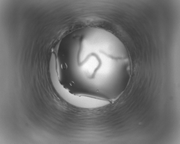 X0000082161108200702021653