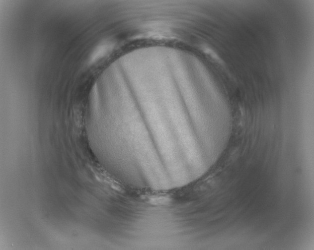 X0000082161110200702021653