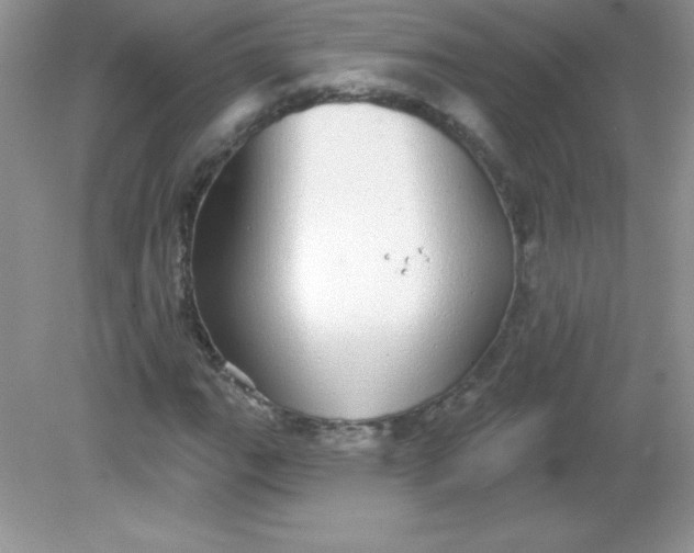 X0000082161111200702021653