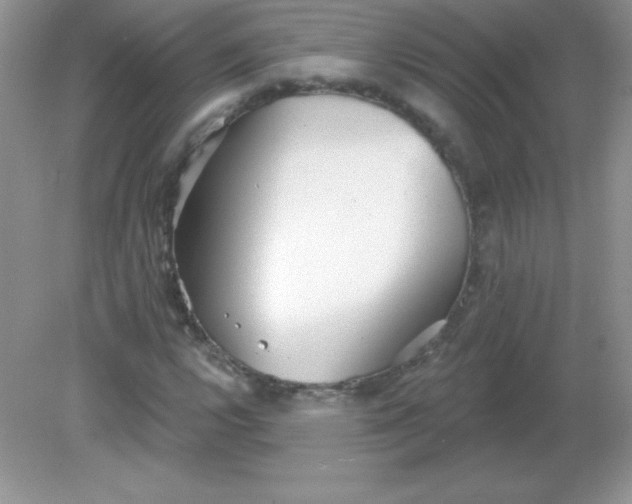 X0000082161112200702021653