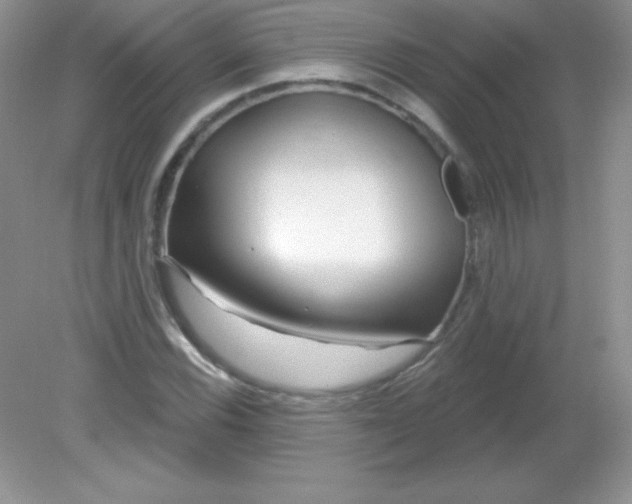 X0000082161116200702021654