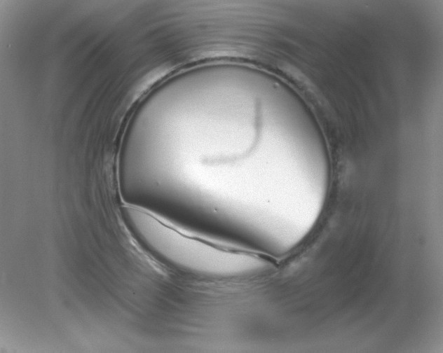 X0000082161121200702021654