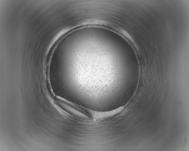 X0000082161124200702021654