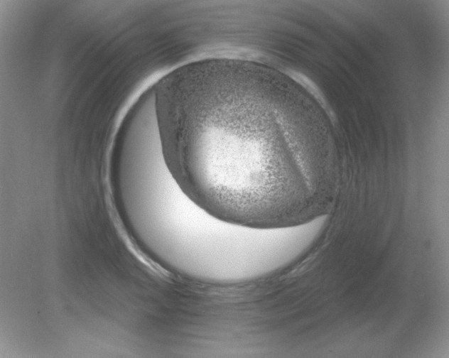 X0000082161128200702021654