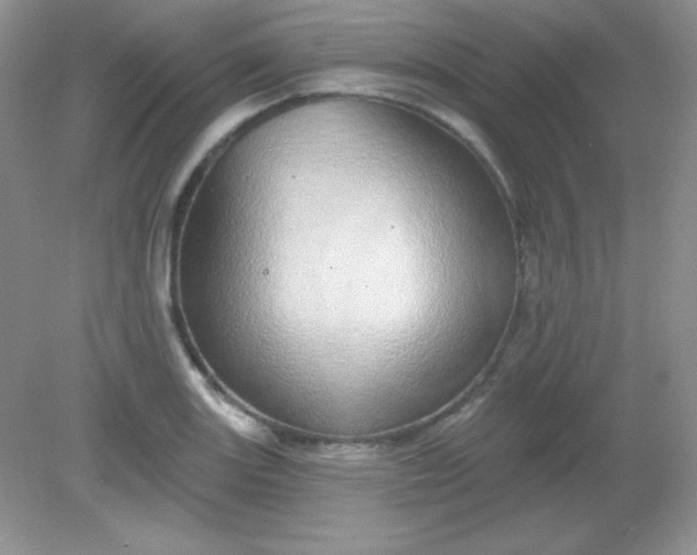 X0000082161131200702021654