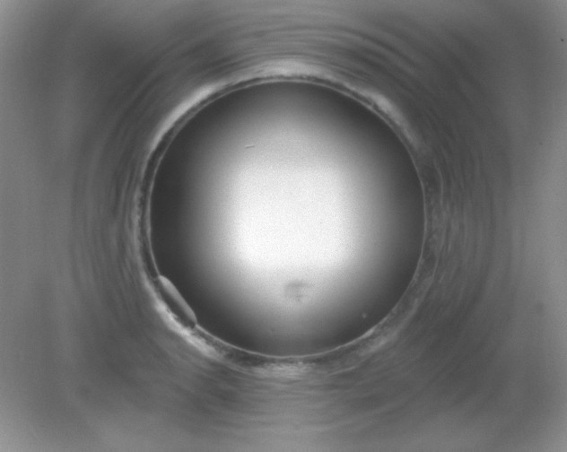 X0000082161134200702021654