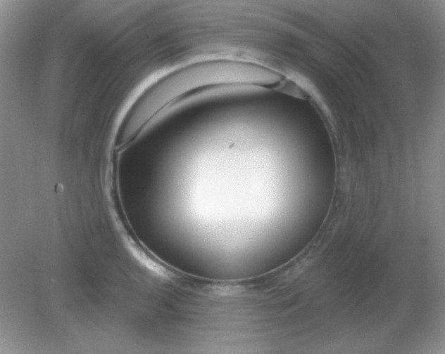 X0000082161136200702021654