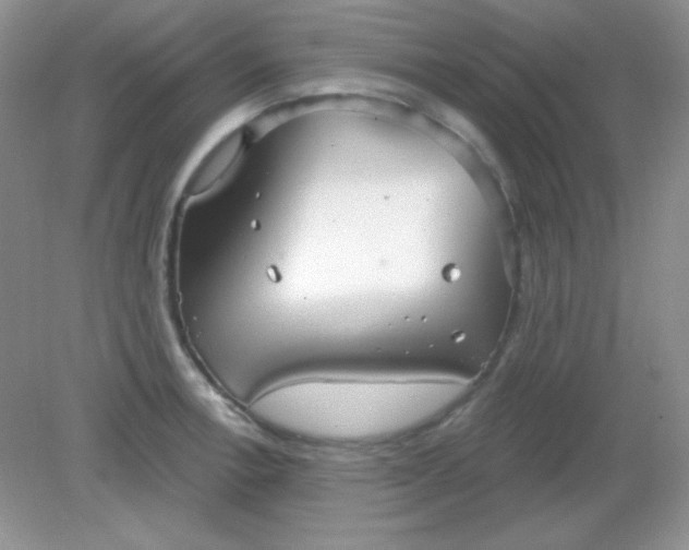 X0000082161138200702021654