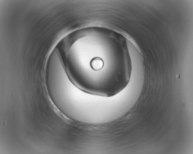 X0000082161148200702021654
