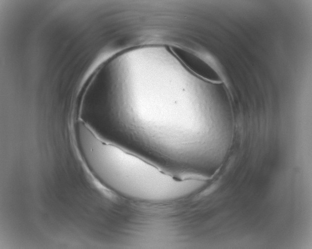 X0000082161149200702021654