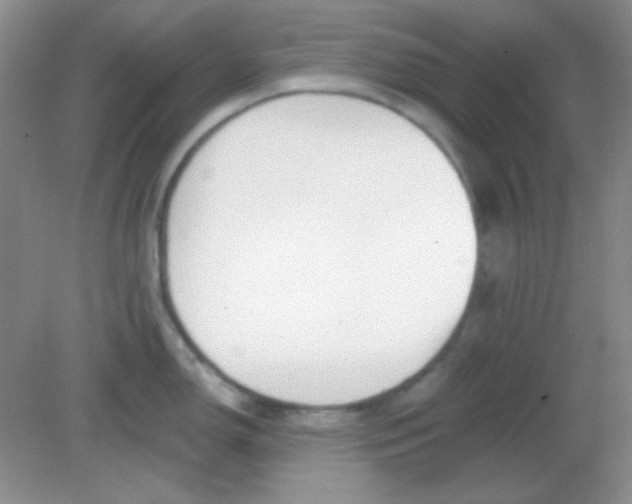X0000082161150200702021654