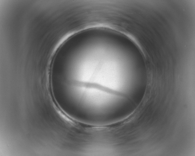 X0000082161151200702021654