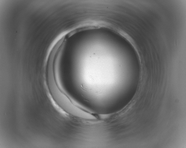 X0000082161152200702021654