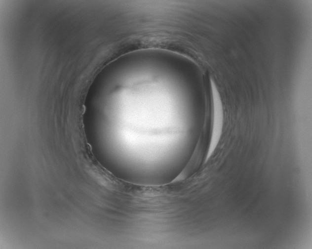 X0000082161153200702021653