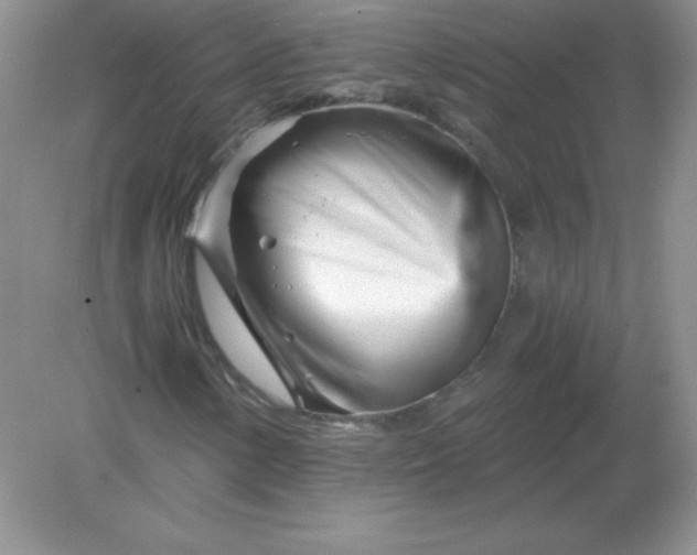 X0000082161154200702021653
