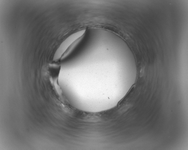X0000082161156200702021653