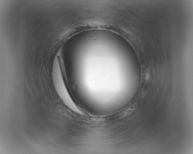 X0000082161157200702021653