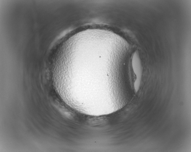 X0000082161159200702021653