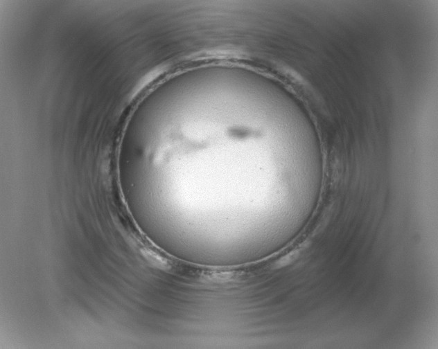 X0000082161162200702021653