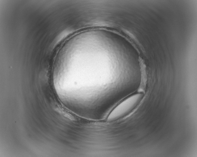 X0000082161163200702021653