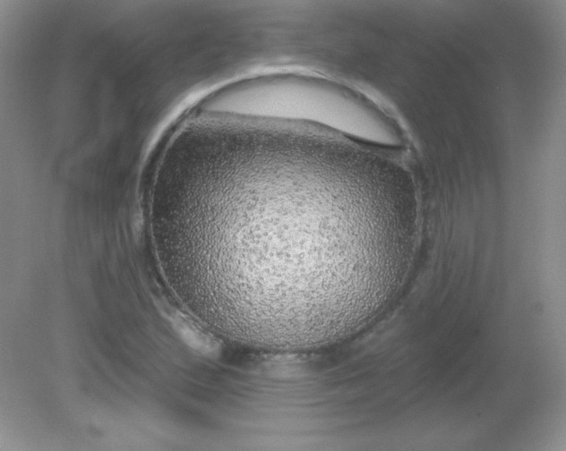 X0000082161167200702021653