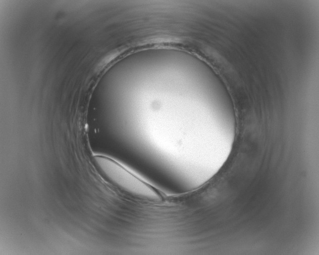 X0000082161169200702021653