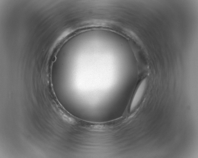X0000082161172200702021653