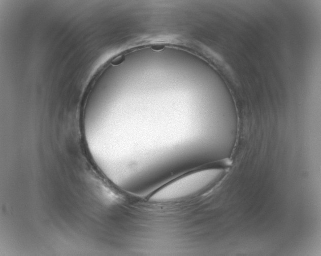 X0000082161174200702021653