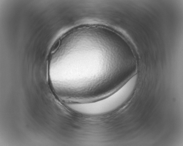 X0000082161175200702021653