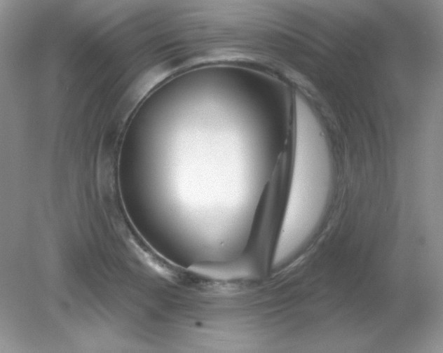 X0000082161177200702021653