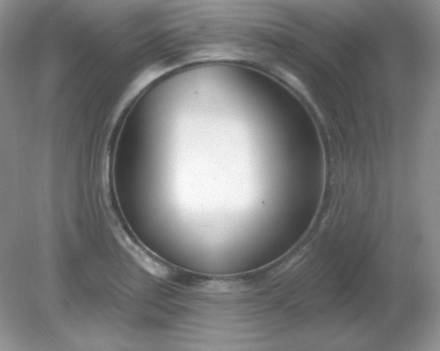 X0000082161179200702021653