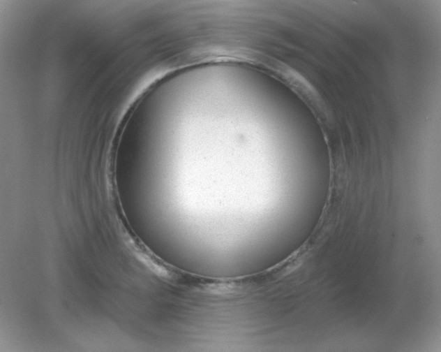 X0000082161182200702021653