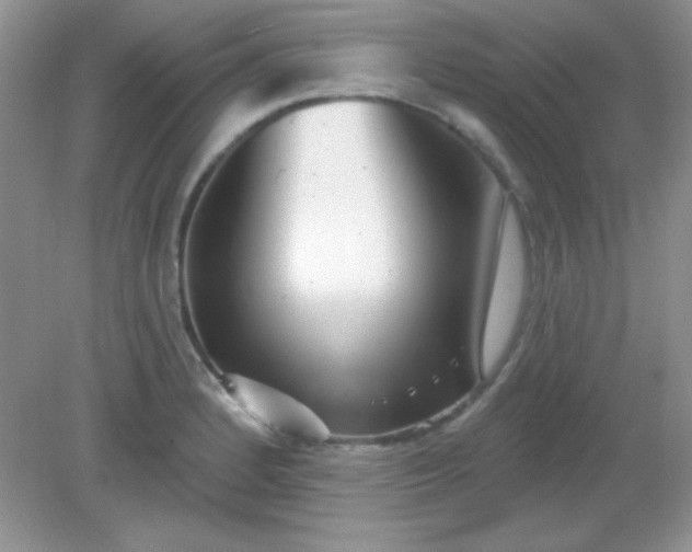 X0000082161184200702021653