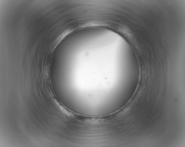 X0000082161185200702021653