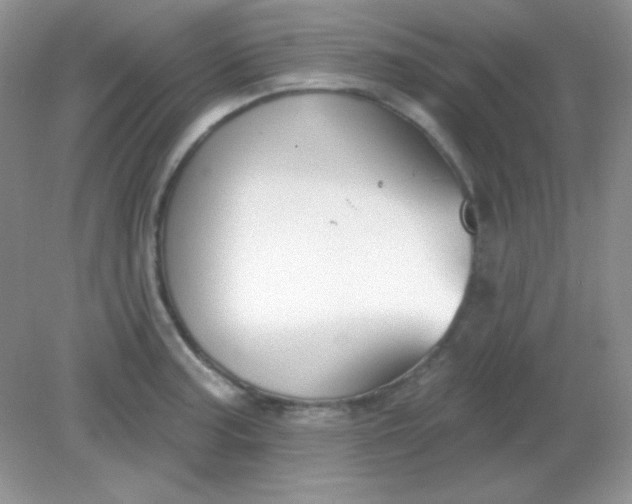 X0000082161187200702021653