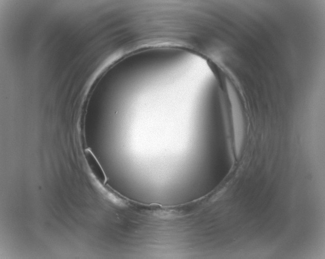 X0000082161189200702021653
