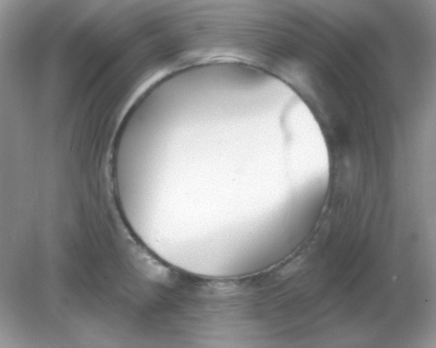 X0000082161190200702021653