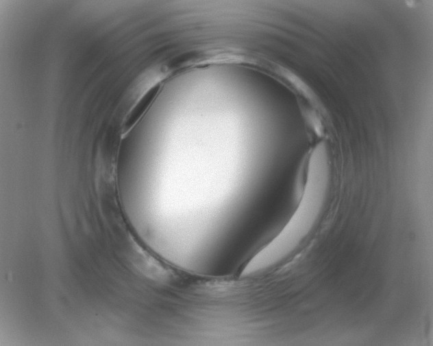 X0000082161193200702021653