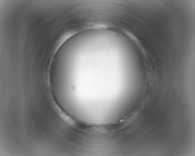 X0000082161194200702021653