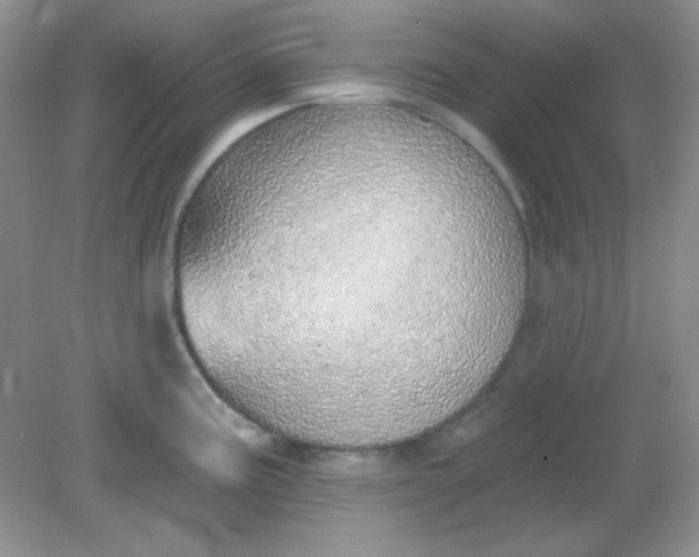 X0000082161195200702021653