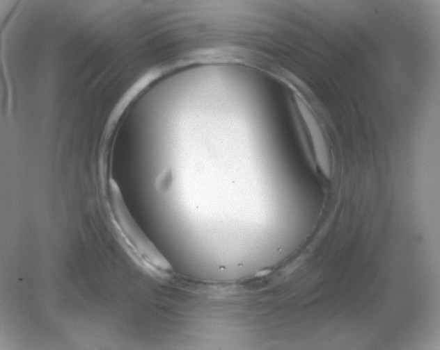 X0000082161196200702021653