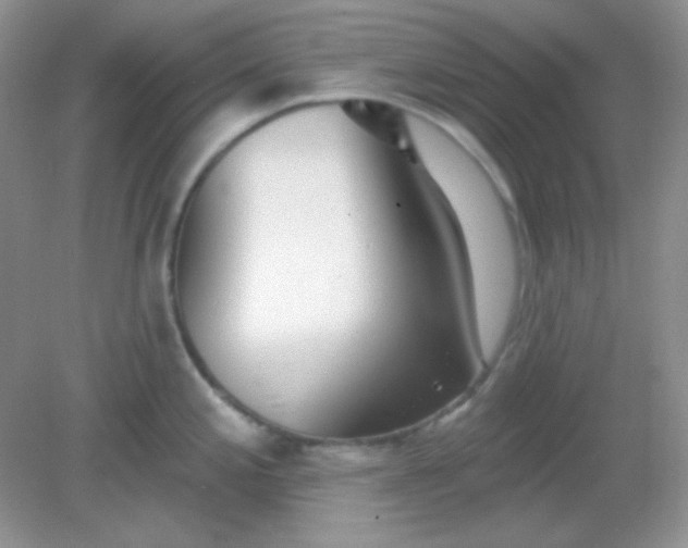 X0000082161197200702021653