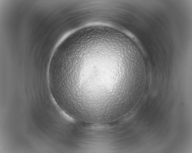 X0000082161199200702021653