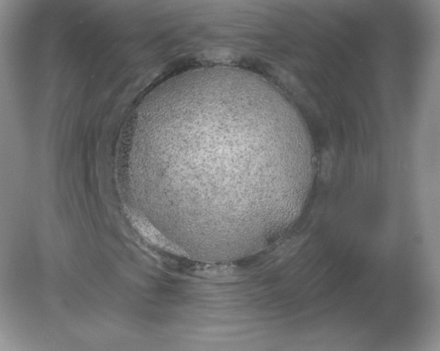 X0000082161201200702021652