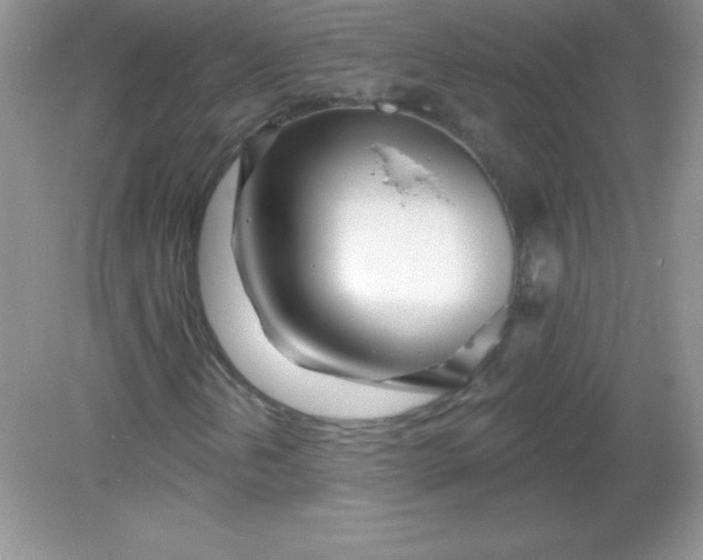 X0000082161202200702021652