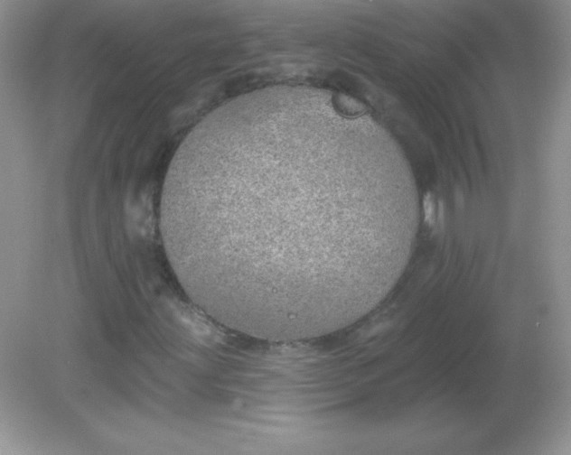 X0000082161203200702021652